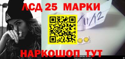 МДПВ Камень-на-Оби