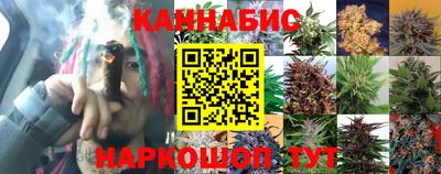 a pvp Волгодонск