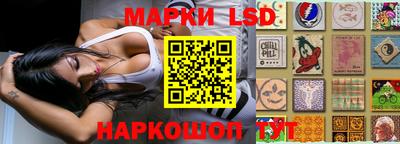 a pvp Волгодонск