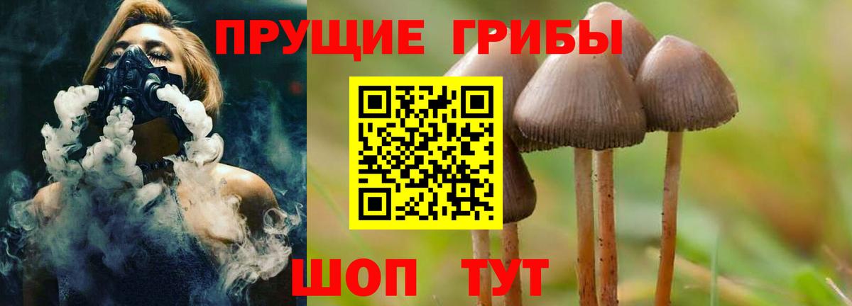 Галлюциногенные грибы мухоморы Красноармейск