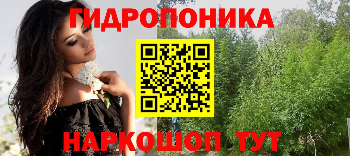 Канабис семена Красноармейск